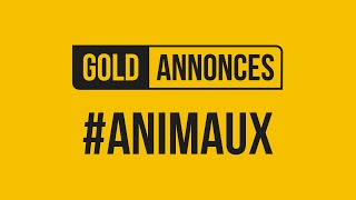 Annonce Animaux en Tunisie - GoldAnnonces #Animaux #Tunisie