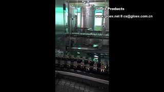 Automatic Double Line  Liquid Filling Machine