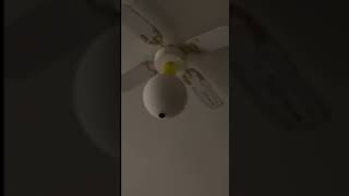 An Old video taken in 2013 #ceilingfanhouse #ceilingfan