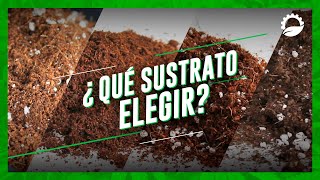 ¿QUÉ SUSTRATO ELEGIR PARA EL CULTIVO? - Guía de sustratos