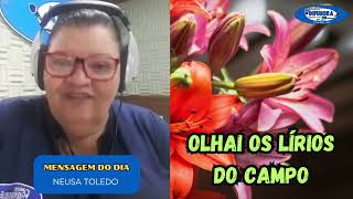 Olhai os Lírios do Campo | Mensagem do Dia com Neusa Toledo