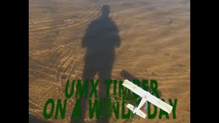 UMX Timber Lake Flying