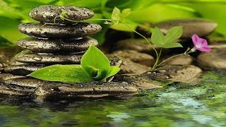 Beautiful Piano Relaxing Music 🧘 Background Music for Yoga, Spa, Healing Therapy, Stress Relief #1