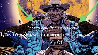 🌿🌱🌸🍃«Растения Силы (пейот, Хикури, Мескалито) в Мексике». Часть 1. ССЫЛКИ на др.части в описании