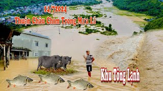 TRẬN LŨ LỊCH SỬ  ĐÊM VÀ SÁNG NGÀY 14/7/2024 GÂY THIỆT HẠI HOA MÀU VÀ NÔNG SẢN BÀ CON RẤT NẶNG