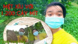 Luồng trực tiếp của Chang Trang Vlog