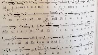 De tine se bucură, glas 8, de Visarion Ieromonahul (1794-1844)