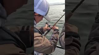 Have you ever lost a reel while reeling a fish in? #fish #fishing #ocean #salmon #shark