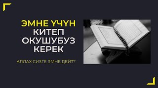 Эмне үчүн китеп окуу керек? (Сиз билбеген пайдалар)