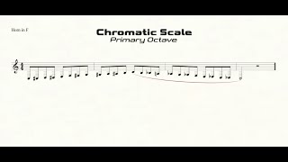 F Horn Chromatic Scale (C-C) Practice in Eighth Notes (primary octave)