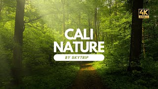 Cali en su esplendor natural: Explorando la biodiversidad urbana CALI DRON 4K 📽️