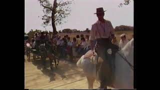 EL ROCIO EN 1984