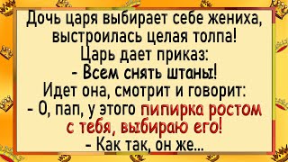 Дочь царя выбрала себе жениха с огромным хозяйством! Анекдоты! Юмор!