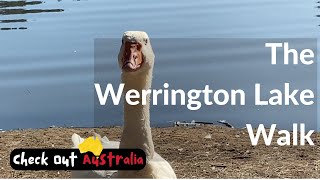 Walk the Werrington Lake (Penrith/Sydney)