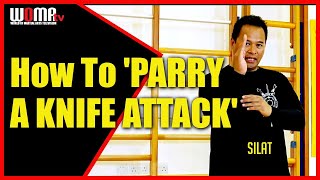 How To PARRY A KNIFE ATTACK SILAT