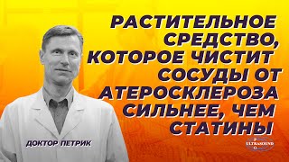 Растительное средство, которое чистит сосуды от атеросклероза сильнее, чем статины