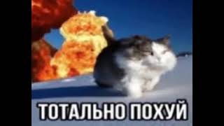 тотально похуй