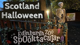 Edinburgh Zoo Spooktacular Halloween Trail | Halloween 2022 | Scotland