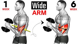 Full Arms Exercises with Dumbbells ( Biceps and Triceps ) 🦾🦾