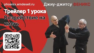 Трейлер 1-го урока из Видеокурса. Воздействие на кисть