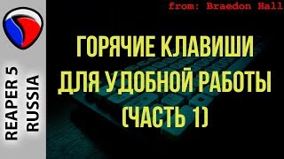 Горячие клавиши для удобной работы (Часть 1) - Кастомизация в REAPER