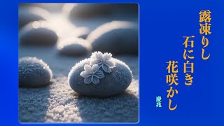 俳句 『露凍りし 石に白き 花咲かし』