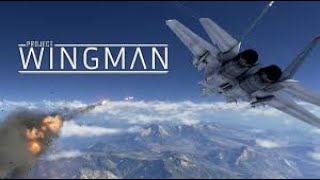 Project Wingman Türkçe Görev : 1