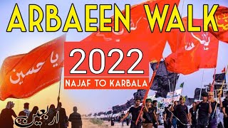 🔴  Arbaeen Walk Najaf To Karbala 2022 #arbaeen #arbaeenwalk