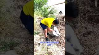 I DID A LA RIVER CLEANUP