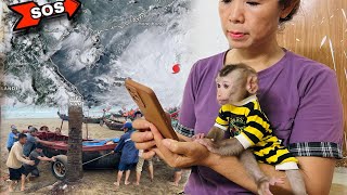 Family! How Tina the Monkey Prepares for the World's Strongest Typhoon Yagi