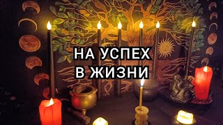 На успех в жизни.