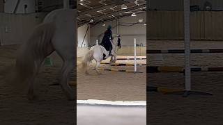 Flying😍#blowup#horse#love#roadto5k#foryou#music#trend#showjump#canter#edit#shorts#viral#pony#bestie