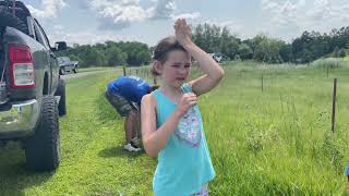 Blood meal to keep Deer away? Let’s hope it works!   Protecting lilac and trees from Deer