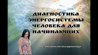 Диагностика энергосистемы человека для начинающих.