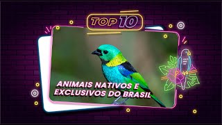 TOP - 10 ANIMAIS NATIVOS E EXCLUSIVOS DO BRASIL