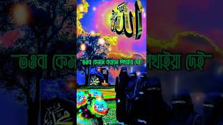 তওবা কেমনে করবেন শিখিয়ে নিন Mizanur Rahman Azhari | New Islamic Status | MD AH CHANNEL