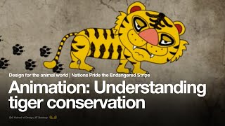 Undertsanding Tiger conservation in India - Animation