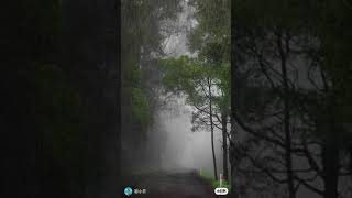 Relaxing rain sounds for sleeping #rain #shorts #fyp #peaceful #relaxing