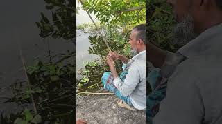 Amazing village Fishing videos #fish #fishing #villagefishing #shorts #foryou #viral #trending