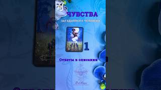 Чувства загаданного человека (ответы в описании. С телефона необходимо зажать экран для вызова меню)