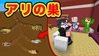 アリの巣みたいなおうち作り対決【マインクラフト】