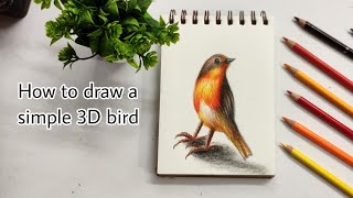 Simple 3D bird drawing | colour pencil