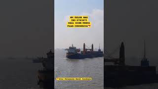 MV. TELUK MAS BERANGKAT BERLAYAR #vessel #containership #sailing #youtubeshorts #shortvideo#shorts