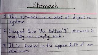 10 lines Essay on Stomach || Stomach Essay in English || Few Easy lines about Stomach