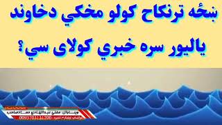 شرعی پوښتنی او ځوابونه - ایا ښځه تر نکاح کولو مخکي دخاوند یا لیور سره خبری کولای سي؟ - مفتی حماد