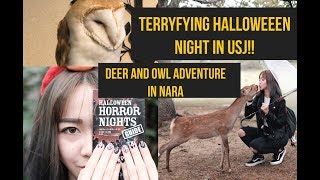 [KANSAI VLOG Part 2] Halloween night in USJ, Deer adventure, Owl Cafe|| #stephaniefoonggetaway