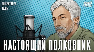 Война и мир. Роман пошёл на самокрутки / Александр Минкин* / Настоящий полковник // 20.09.24