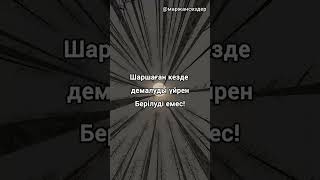 өз пікіріңізді жазыңыз! #аудиокнига #қанаттысөздер #нақылсөздер