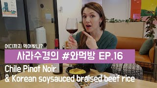 [ENG | SUB Sarah's Wine Pairing 사라수경의 #와먹방 Ep.16] Chile Pinot Noir & Korean beef rice