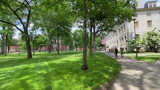 A Tour of Harvard Campus